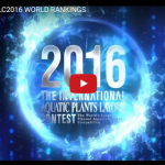 【アクアリウム】IAPLC2016 WORLD RANKINGSの作品がすごい！